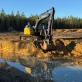 Wild Boar Land Management b